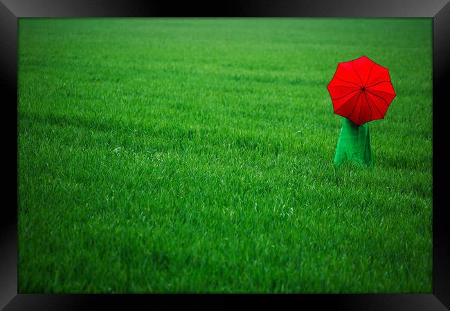 Red Umbrella in Green Field. Framed Print by Maggie McCall