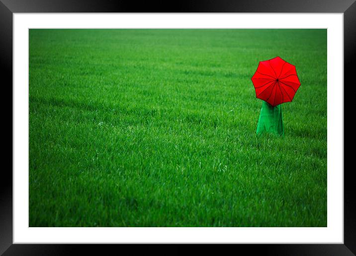 Red Umbrella in Green Field. Framed Mounted Print by Maggie McCall