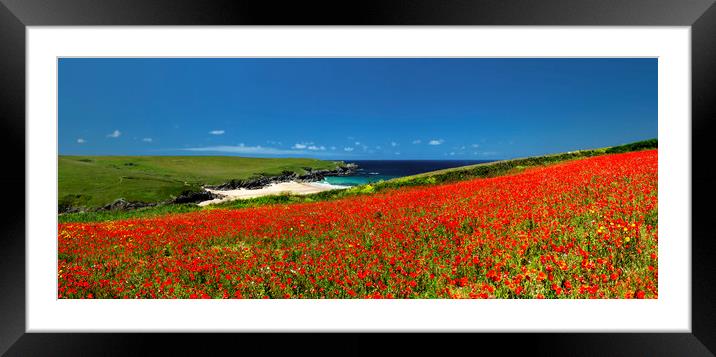 Poppies at West Pentire, Cornwall. Framed Mounted Print by Maggie McCall