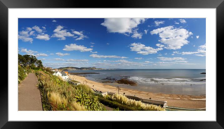 Lyme Regis beach from Langmoor  and Lister gardens Framed Mounted Print by Maggie McCall
