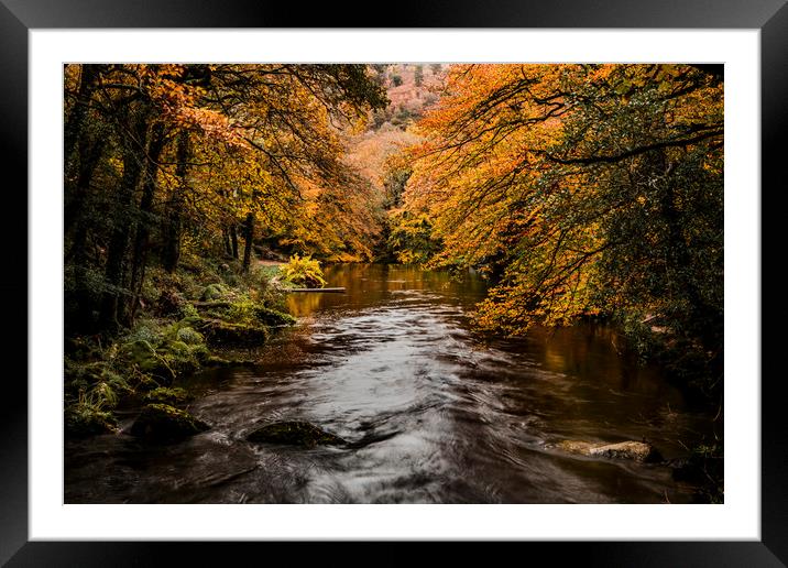 Teign River, Devon. Framed Mounted Print by Maggie McCall
