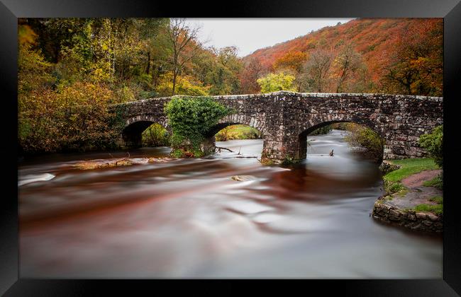 Fingle Bridge, Dartmoor, Devon. Framed Print by Maggie McCall