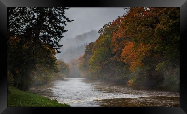 The Tamar River  in Autumn Framed Print by Maggie McCall