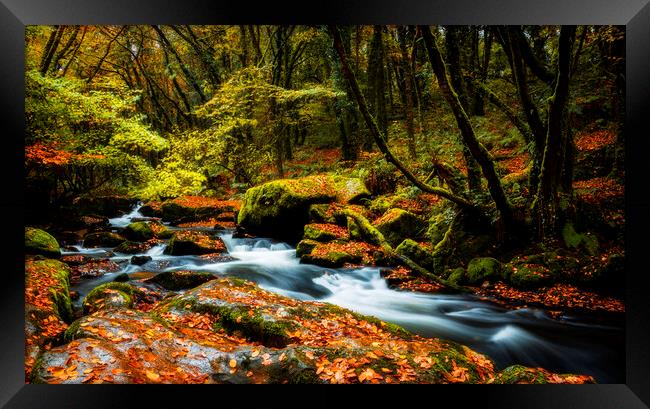 Golitha Falls, Cornwall Framed Print by Maggie McCall