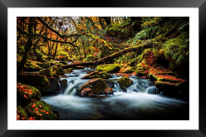 GOLITHA FALLS 2 Framed Mounted Print by Maggie McCall