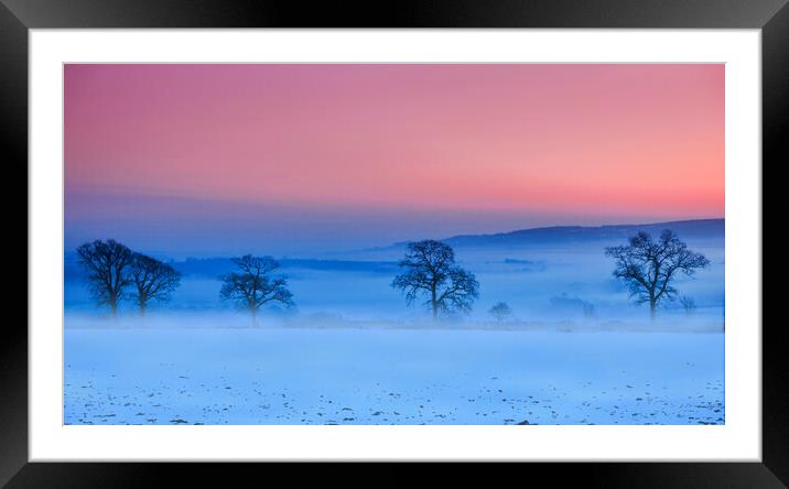 Misty trees along the B3362 Nr Tavistock Framed Mounted Print by Maggie McCall