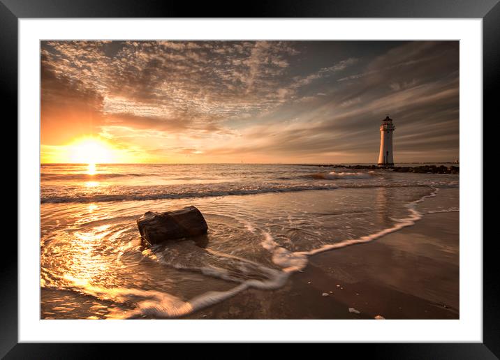 DRIFTWOOD( On the shore) Framed Mounted Print by raymond mcbride