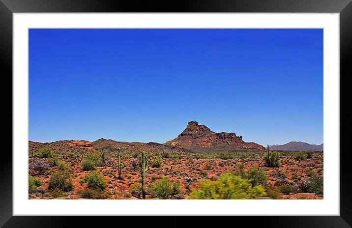 Desert Scenery Framed Mounted Print by Isabel Antonelli