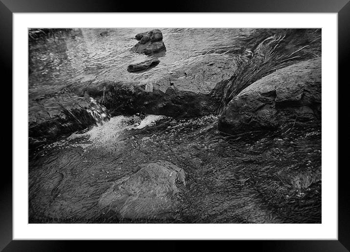 fresh water flowing along stones Framed Mounted Print by Isabel Antonelli
