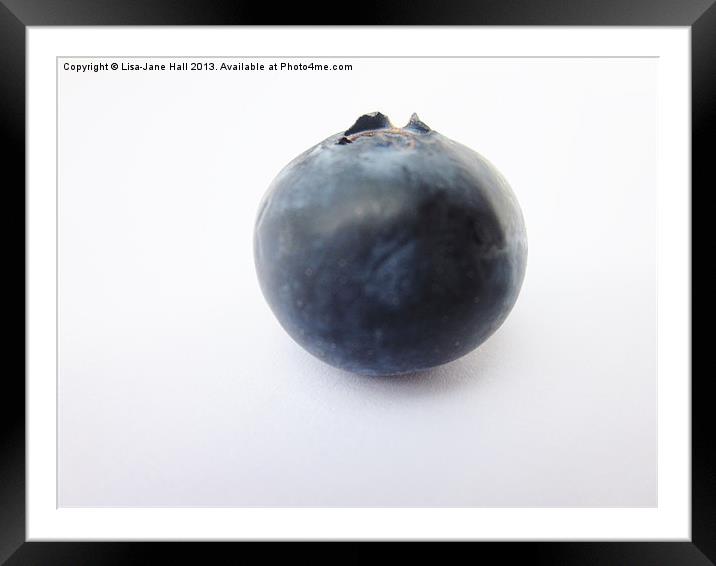 The Lonely Blueberry Framed Mounted Print by Lee Hall