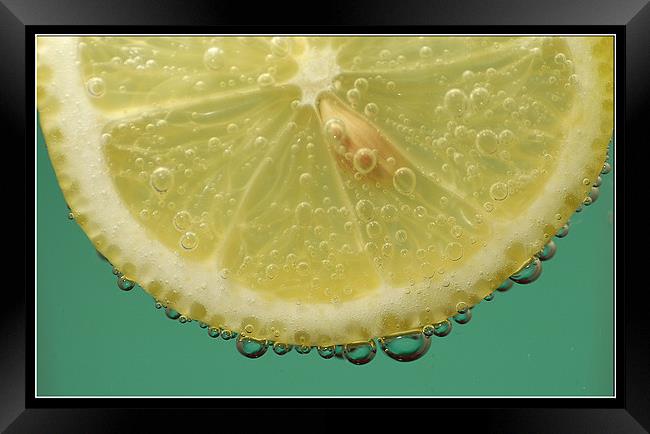 Lemon Framed Print by Art Magdaluyo