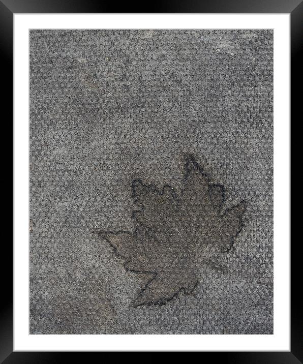 Autumn leaves its mark Framed Mounted Print by J Lloyd