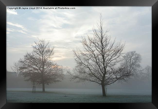Freezing Fog in Admirals Park Framed Print by J Lloyd