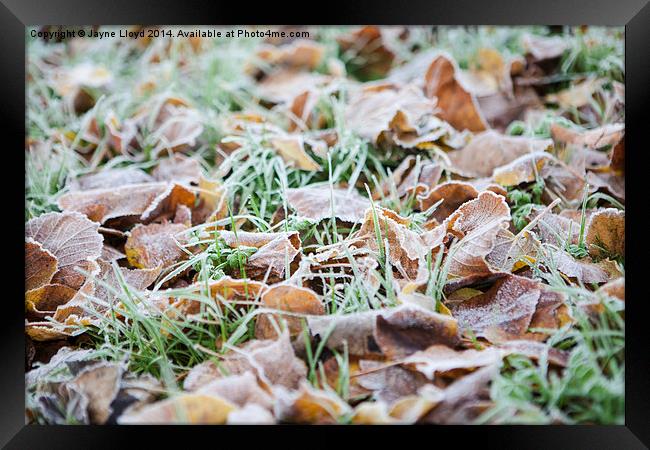 Fallen frosty leaves Framed Print by J Lloyd