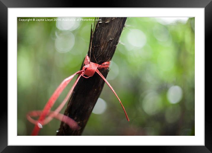 Red ribbon in Bukit Timah, Singapore Framed Mounted Print by J Lloyd