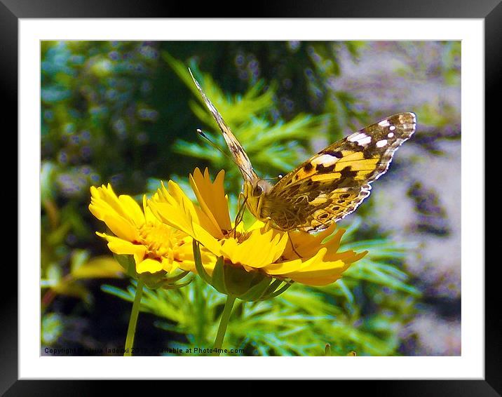 butterfly on flowers Framed Mounted Print by elvira ladocki