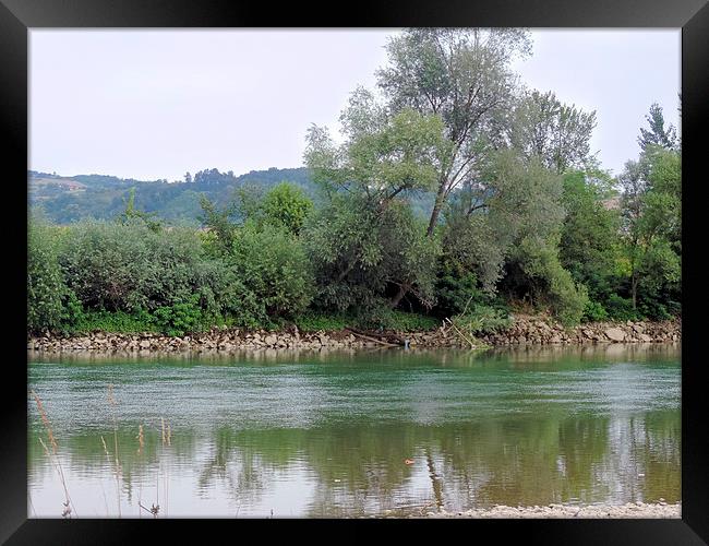 2157-trees on the riverband Framed Print by elvira ladocki