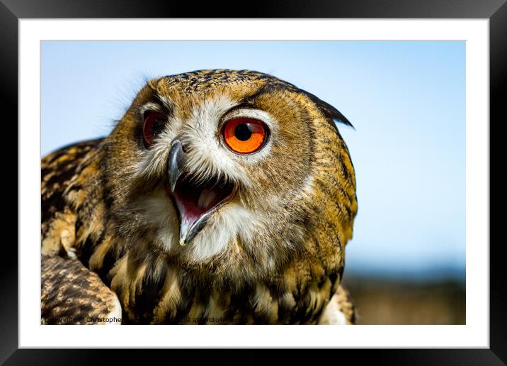Scowl the Owl Framed Mounted Print by Christopher Kelly