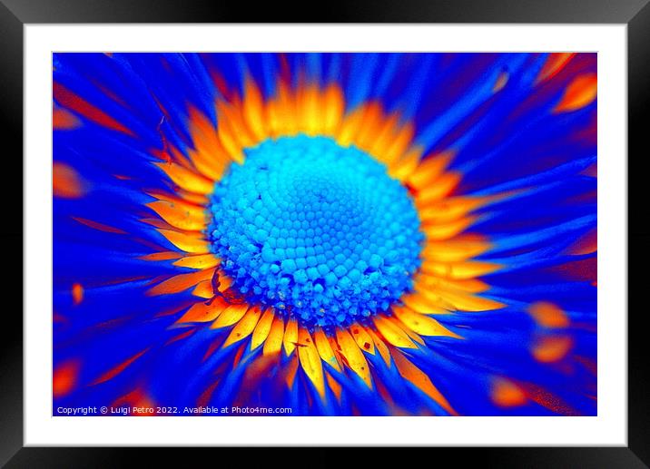 Abstract blurred close-up of a flower. Framed Mounted Print by Luigi Petro