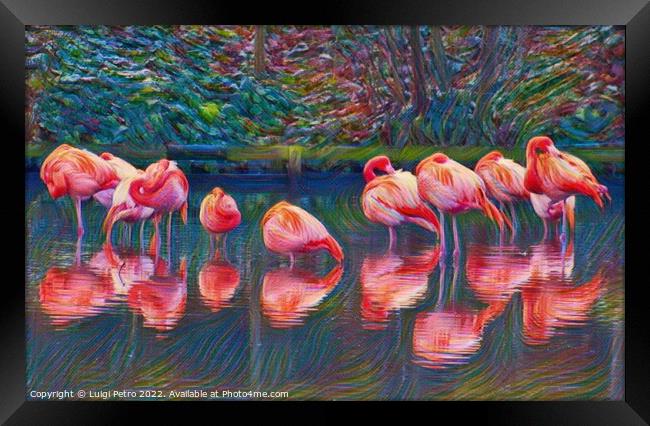 Fine art portrait of a pack of American flamingos. Framed Print by Luigi Petro