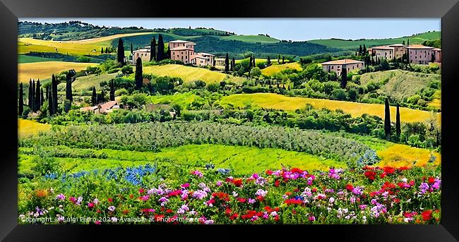 Panoramic Experience of Rustic Tranquillity Framed Print by Luigi Petro
