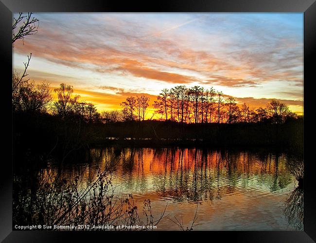 Early winer sunrise Framed Print by Sue Bottomley