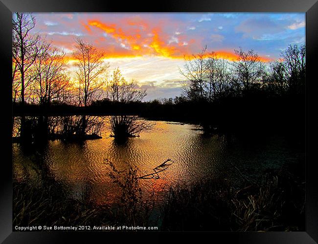 Early winter sunrise Framed Print by Sue Bottomley