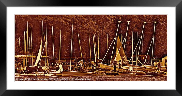 Traffic jam on the lake Framed Mounted Print by Sue Bottomley