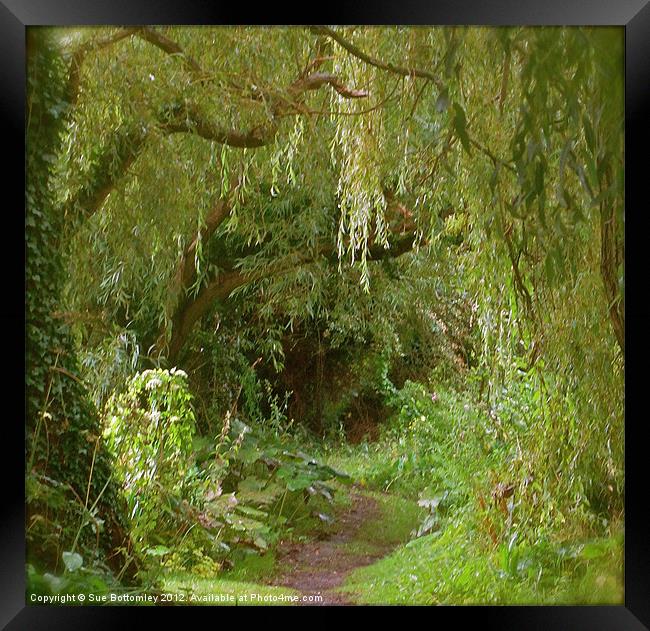 Secret pathway to where Framed Print by Sue Bottomley