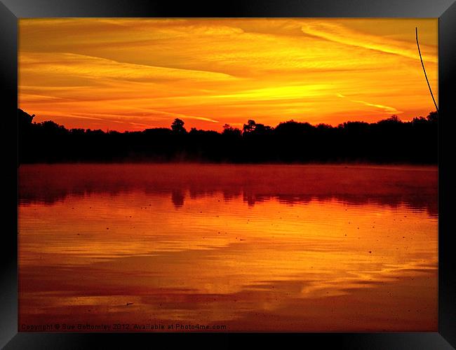 Sunrise in Rickmansworth Framed Print by Sue Bottomley