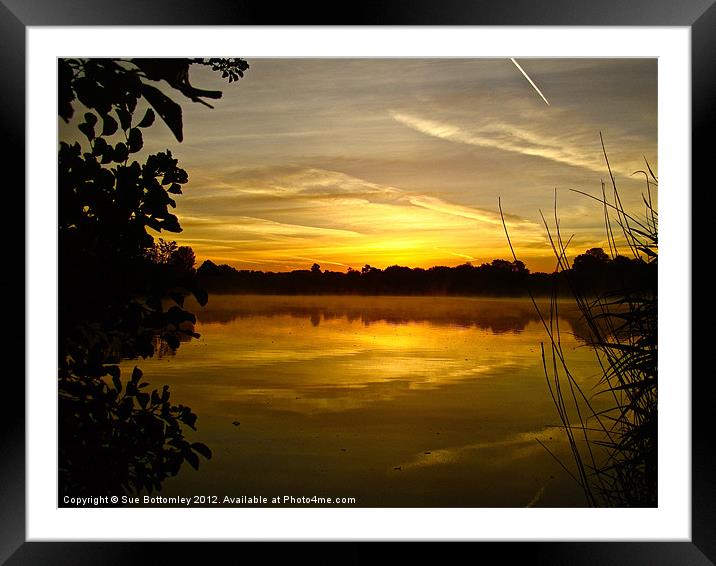 Sunrise Rickmansworth (2) Framed Mounted Print by Sue Bottomley