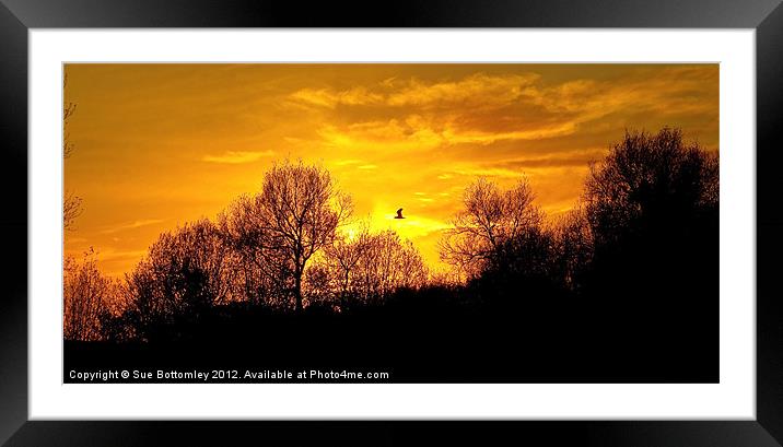 Sunset over Rickmansworth Framed Mounted Print by Sue Bottomley