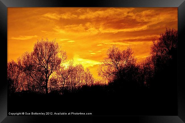 Beautiful sunset over Hertfordshire Framed Print by Sue Bottomley