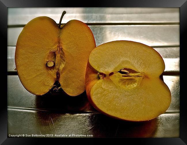 Apple cut in half Framed Print by Sue Bottomley
