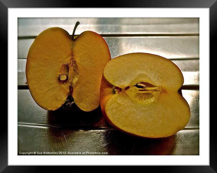 Apple cut in half Framed Mounted Print by Sue Bottomley
