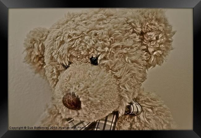 Old Teddy Bear Framed Print by Sue Bottomley