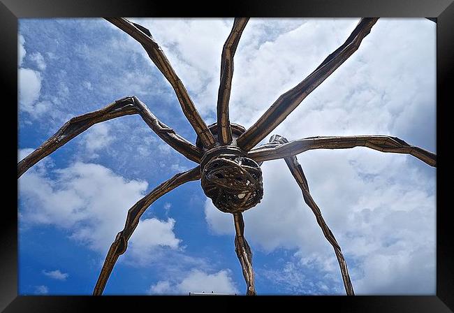  Spider Maman Bilbao Spain Framed Print by Sue Bottomley