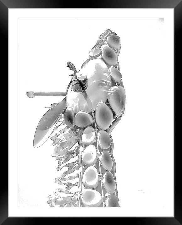  Gemma the Giraffe Framed Mounted Print by Sue Bottomley