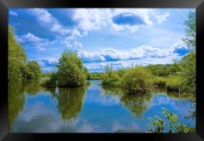 Stockers Lake Nature Reserve Rickmansworth Framed Print by Sue Bottomley