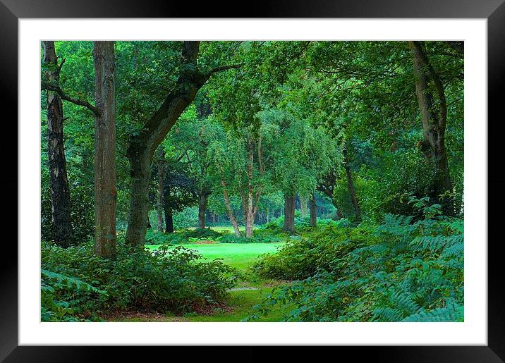 Chorleywood Common and woods  Framed Mounted Print by Sue Bottomley