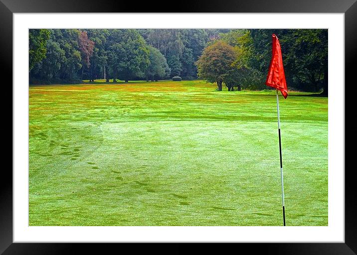One part of a Nine hole golf course on Chorleywood Framed Mounted Print by Sue Bottomley