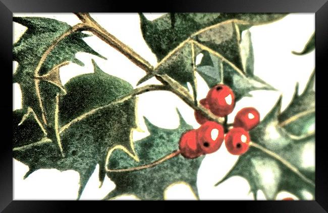  Christmas Time Holly Time Framed Print by Sue Bottomley