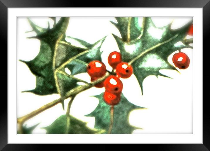 Holly and Red Berries  Framed Mounted Print by Sue Bottomley