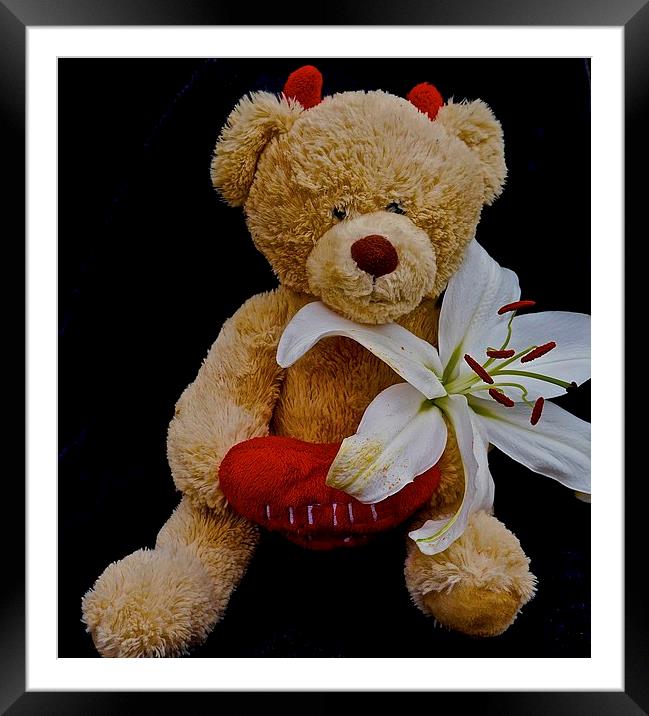  Little Devil Lily Teddy Bear Framed Mounted Print by Sue Bottomley