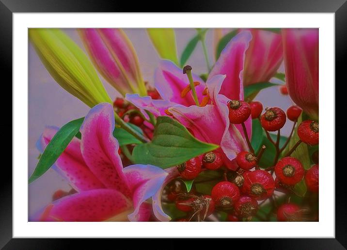 Flower arrangement with stargazer Lilies  Framed Mounted Print by Sue Bottomley