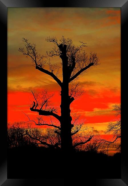  Sunrise or Sunset Framed Print by Sue Bottomley