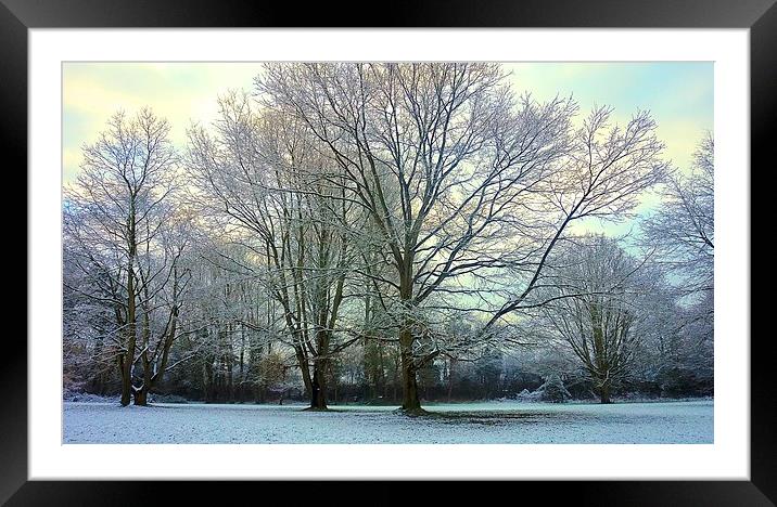 Winter the cold season                             Framed Mounted Print by Sue Bottomley