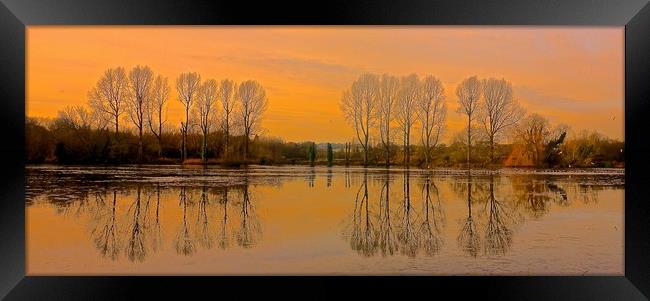 Trees reflection across the lake                   Framed Print by Sue Bottomley