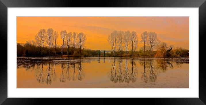 Trees reflection across the lake                   Framed Mounted Print by Sue Bottomley