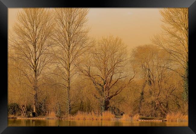 The Waters Edge                                Framed Print by Sue Bottomley